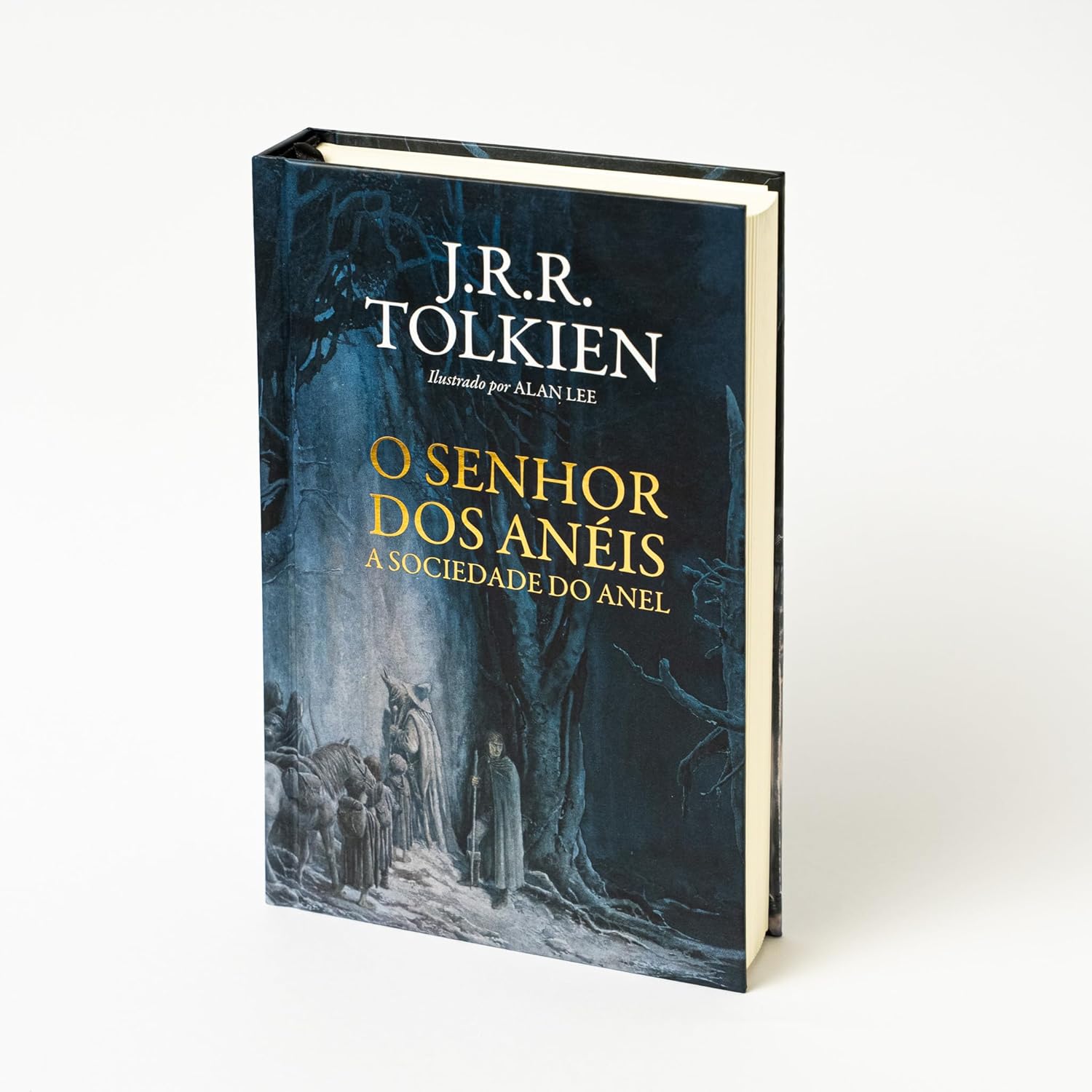 Box Trilogia O Senhor dos Anéis - J.R.R. Tolkien (Ilustrações de Alan Lee)