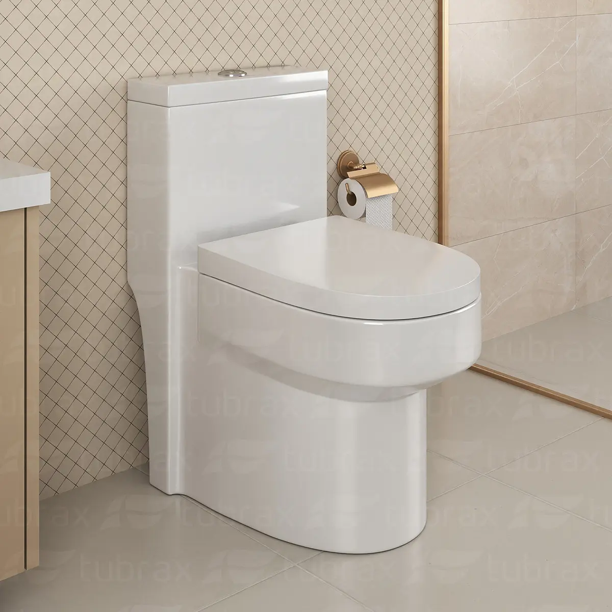 Vaso Sanitário Monobloco Caixa Acoplada Privada Completo Cor Branco